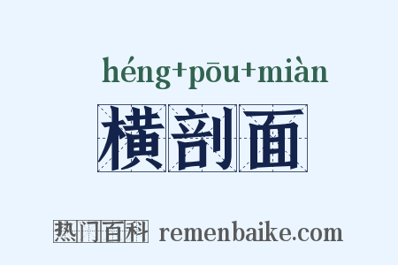 横剖面是什么意思的图片